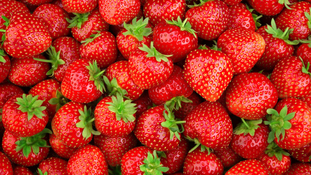 Trempette aux fraises du Québec